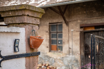 Tore und Fenster in Breisach am Rhein
