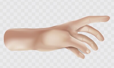 Isolated Realistic 3D open hand illustrations. 3D vector illustration background. Open outstretched hand, showing five fingers, extended in greeting.