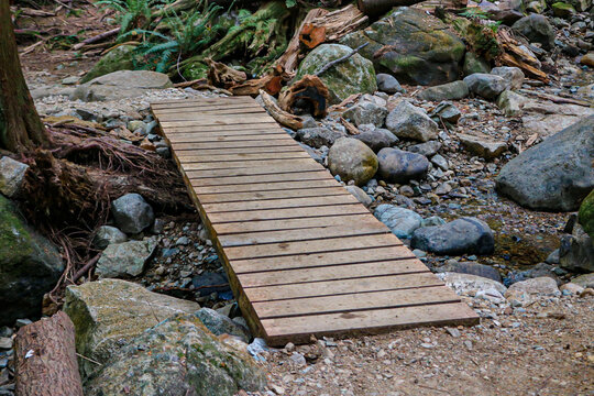 A small little bridge through the forest to help travelers explore.