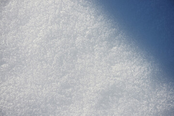 Obraz premium 雪肌