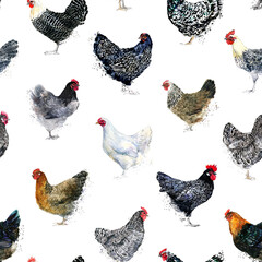 Chicken seamless pattern. domestic farm birds hand drawn watercolor illustration