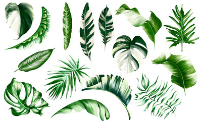 Watercolor tropical - jungle leaves frame, wreath. Greenery, emerald green leaf. Wedding exotic invitation