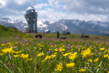 Blooming flowers on Assy plateau with observatory dome on background. Spring in Tien-shan mountains.