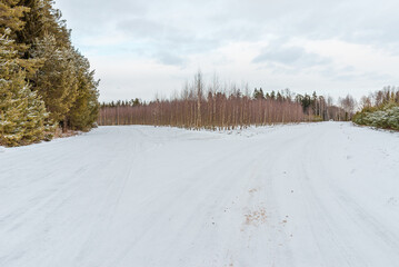 Obraz premium Empty snow covered two road in winter landscape.Snowy Road through a forest Landscape in Winter Cloudy Day.