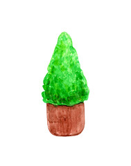 Watercolor potted plants. Trees in containers. Flower beds in pots. Garden landscaping. Home flowers. floral compositions. Hand drawn illustration isolated on white background.