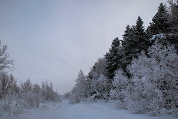 Snow-covered frosty nature in the Khanty-Mansi Autonomous Okrug Yugra in Russia. Snow-covered frosty road on the bank of a channel in Russia