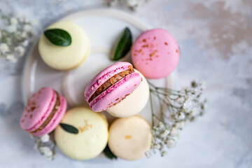 French assorted macarons pastel colors with gypsophila flowers on grey concrete background. Top view.