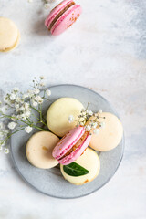 French assorted macarons pastel colors with gypsophila flowers on grey concrete background. Top view.