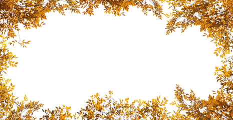 orange leaves frame isolated on white background