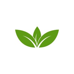Green leaf logo