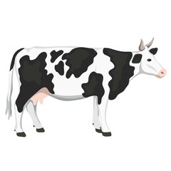 Isolated cow on white background, animal husbandry, handmade illustration.