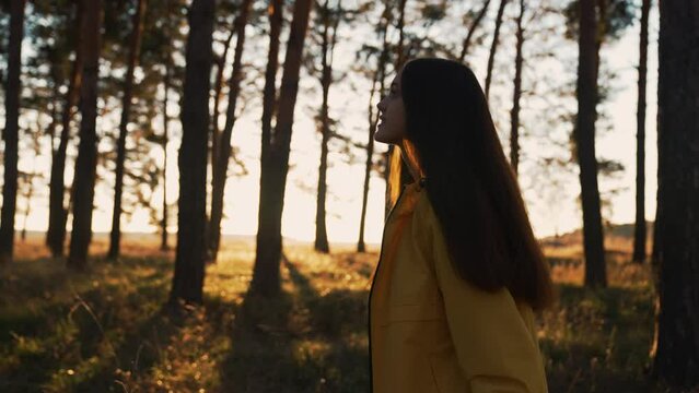 Girl walks through natural forest. Woman hiking alone. Teenager girl in nature at sunset. Fantasy of people in park in autumn. Active lifestyle. People in forest. Tourist walk in autumn forest park