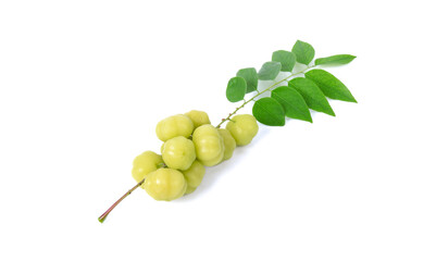 Star gooseberry isolated on white background