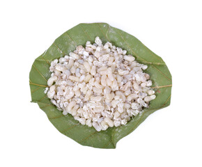 Red ant eggs on leaves on a white background