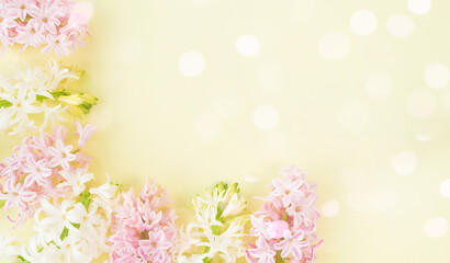 Delicate hyacinth flowers on a light background. Image wit selective focus