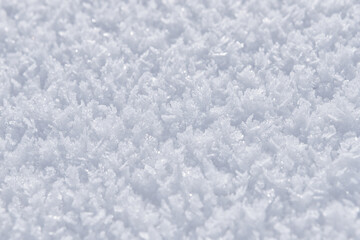 Obraz premium snow background texture