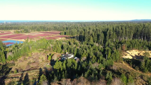 Cranberry bogs and forest in Bandon Oregon, seen from above. Drone orbit