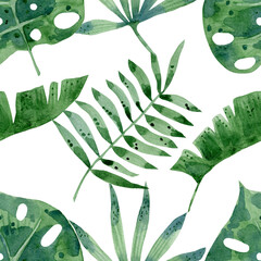 Watercolor green palm leaves. Tropical foliage