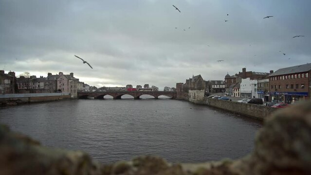 Seagulls on a cloudy day in Ayrshire. Ayr Town in 4k