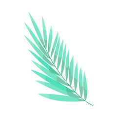 Green leaf in cartoon style. Plant leaf for decoration. Vector illustration isolated on white background.