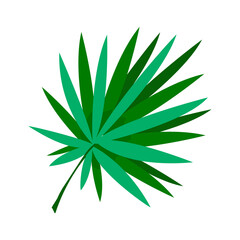 Fototapeta premium Green leaf in cartoon style. Plant leaf for decoration. Vector illustration isolated on white background.