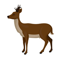 Vector illustration of a roe deer