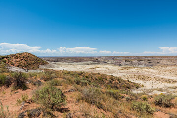 scenes at painted desert in arizona
