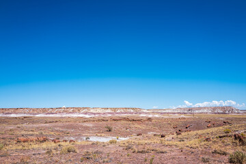 Painted Desert