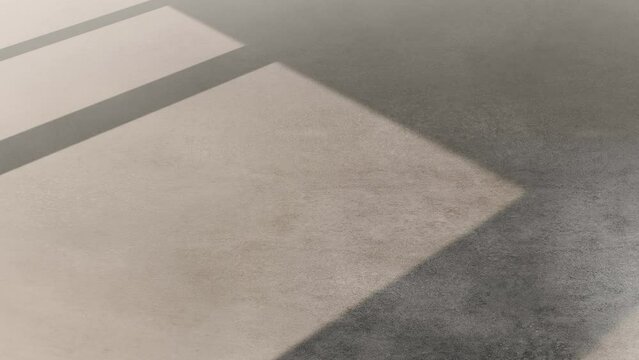 Empty concrete floor.
The backdrop for exhibition ,booth,product.
Wall for the conference.
background Sunshine natural shadow for entertainment,concert,event.
3d Background for online.3D render.