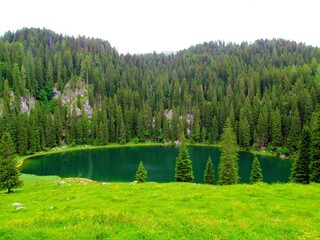 View of the green colored lake at Planina jezero in Triglav national park in Gorenjska region of Slovenia with forst covered hills in the back and a green pasture in front © kato08
