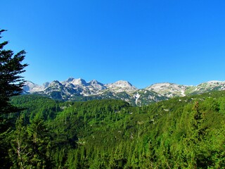 View of the mountains in the Julian alps and Triglav national park in Gorenjska region of Slovenia with alpine landscape covered with creeping pine and larch trees in the foreground