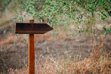 old wooden sign on the ground