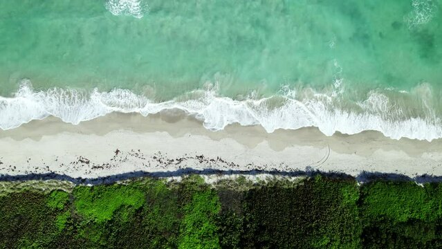 Straight down drone shot of beautiful green white capped waves of the Atlantic Ocean crashing over the white sand beach of Hutchinson Island in South Florida on a wonderful clear sunny day.