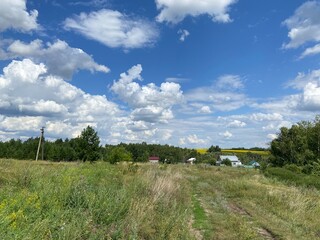 Obraz premium Summer field in Russia