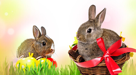 little rabbit and easter eggs isolated