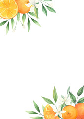 Orange citrus watercolor frame isolated on white background. Summer wedding invitation, greeting card. 