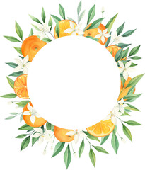 Orange citrus watercolor frame isolated on white background. Summer wedding invitation, greeting card. 
