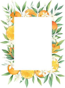 Orange citrus watercolor frame isolated on white background. Summer wedding invitation, greeting card. 