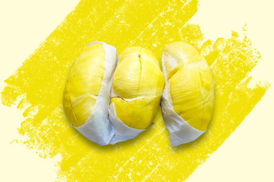 Durian pulps isolated on yellow brushed paint background. Ripe durian tropical fruit summer for sweet dessert or snack in Thailand. King of fruits, Durian isolated on colorful background.
