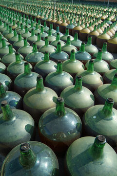 Bodega Palacio de Bornos en la localidad de Rueda, Valladolid, Castilla y Le&oacute;n.