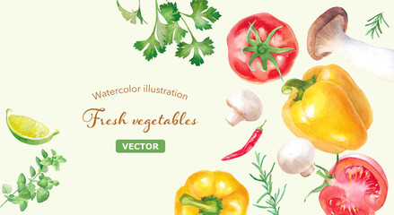 新鮮な夏野菜とハーブの水彩イラスト。ヘルシーイメージバナー。（ベクター）
