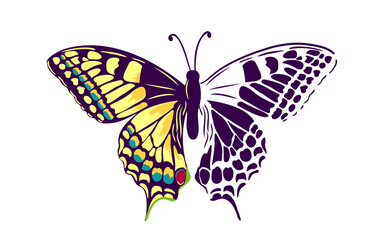 Decorative butterfly vector card. Insect illustration in bright colors. Stylish butterfly print design for t-shirt. Vector illustration