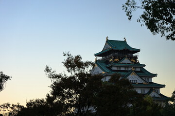 Fototapeta premium 大阪城 大阪 日本