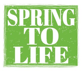 Fototapeta premium SPRING TO LIFE, text on green stamp sign