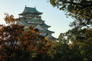 Fototapeta premium 大阪城 大阪 日本