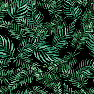 Seamless hand drawn tropical pattern with exotic palm leaves