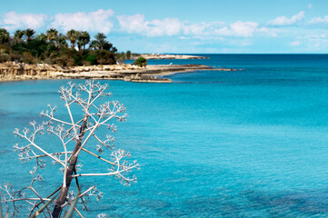 Beautiful beach with blue water, Cliffs in the sea, Top aerial view of Cyprus, Nature Background , Vacation and relax