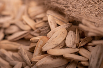 White sunflower seeds scattered on the background of coarse burlap, close-up selective focus.