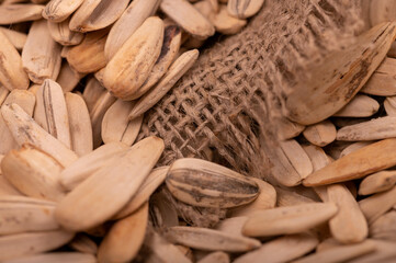 White sunflower seeds scattered on the background of coarse burlap, close-up selective focus.