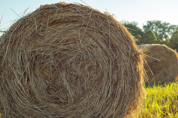 Close-up of a dry bale of hay on the background of another bale. Beautiful sunset light. Stockpiling hay for the winter to feed cattle.